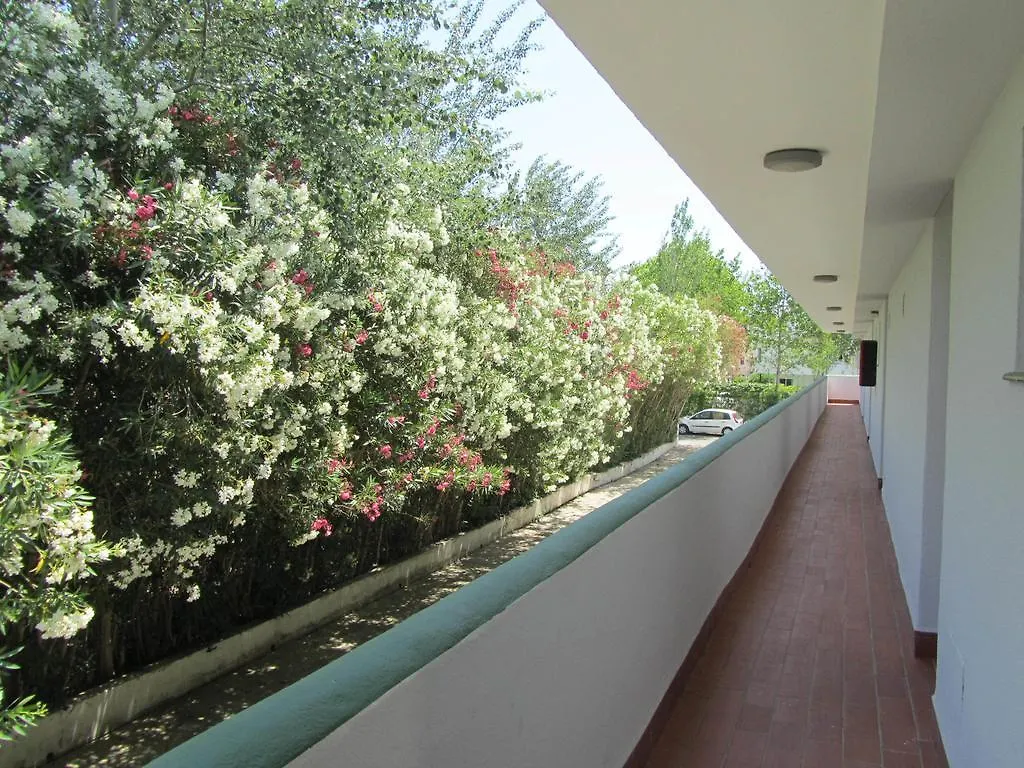 Apartamentos Diana Port de Alcudia  Hotel